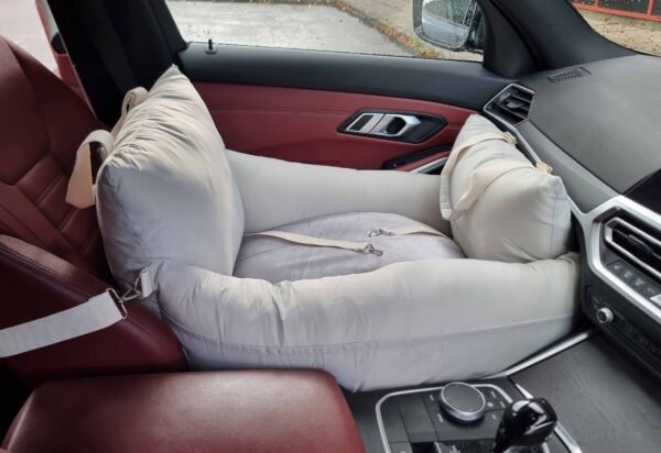 Luxury Multi-Functional Car Seat, Bed & Carrier