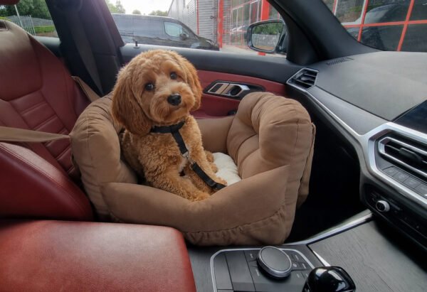 Luxury Multi-Functional Car Seat, Bed & Carrier