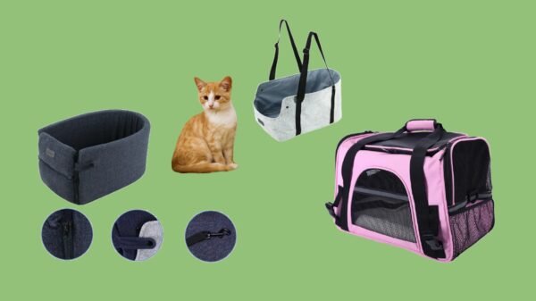 Cat Carriers