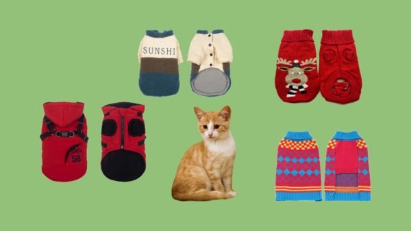 Cat Clothes