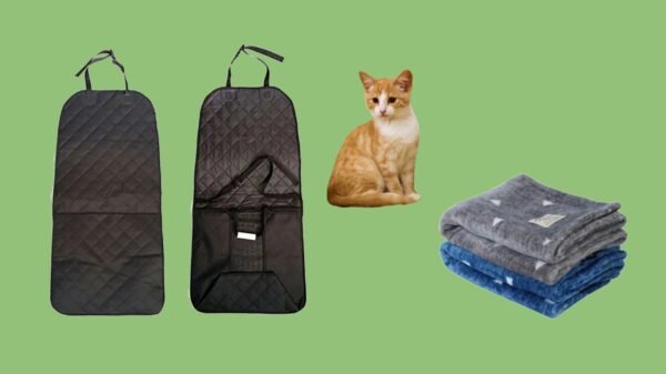 Cat Litter Box