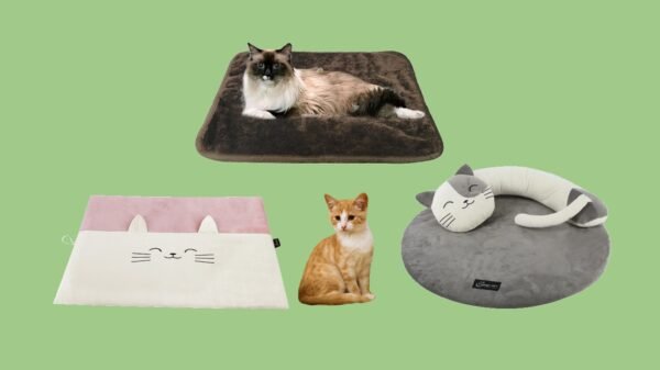 Cat Cushions