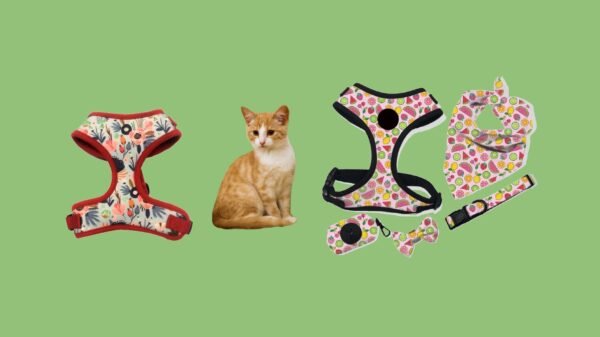 Cat Harness/Collars/Leads