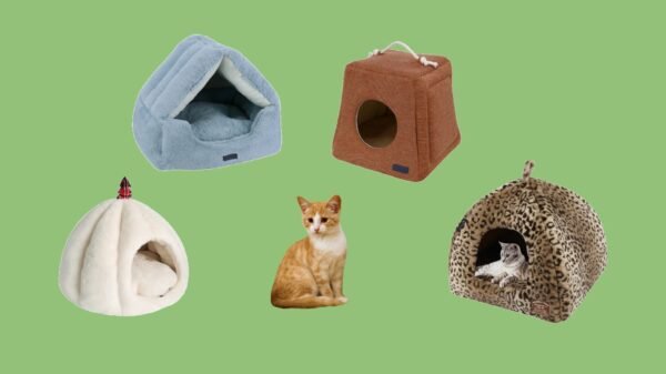 Cat Houses
