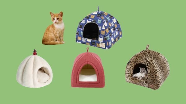 Cat Igloo