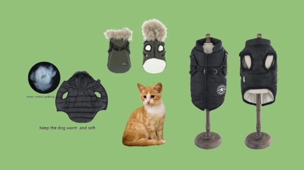 Cat Jackets