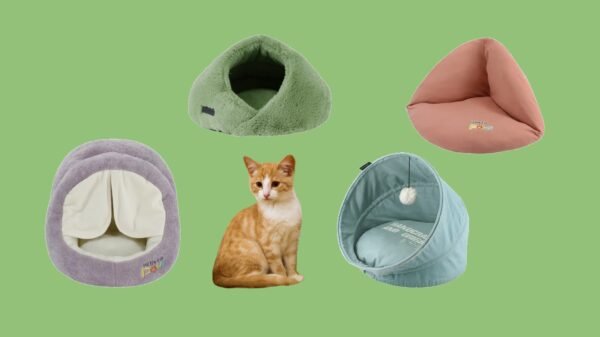 Cat Nest