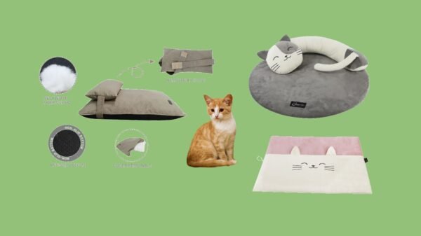 Cat Pillows