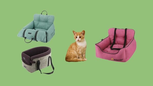 Cat Car Seats