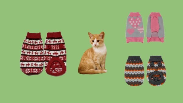 Cat Sweaters