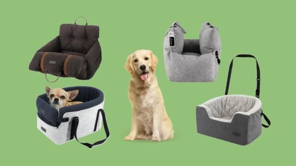 Dog Carriers