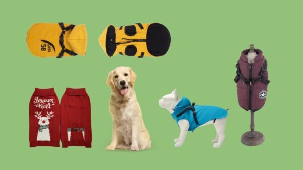 Dog Clothes