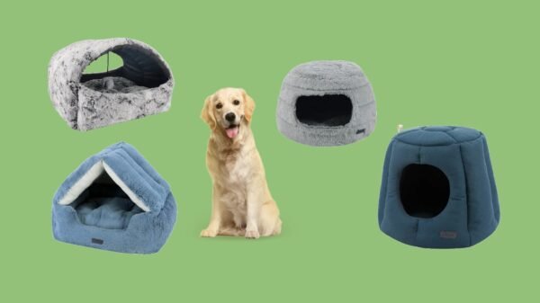 Dog Houses/Cages