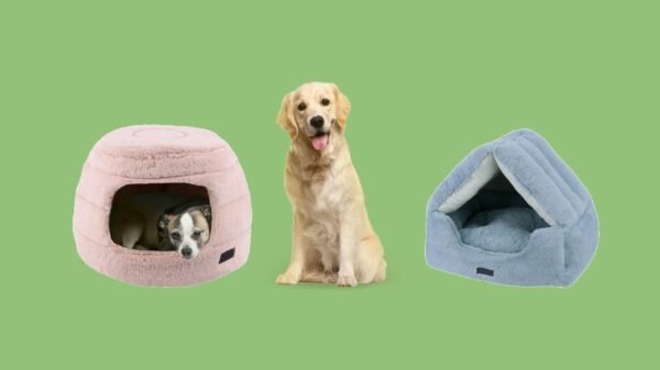 Dog Igloo