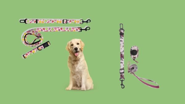 Dog Leashes