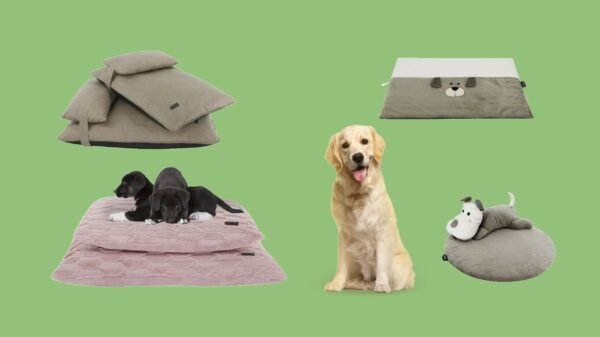 Dog Pillows
