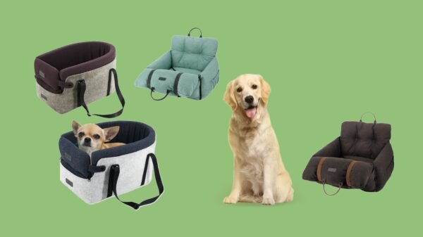 Dog Car Seats
