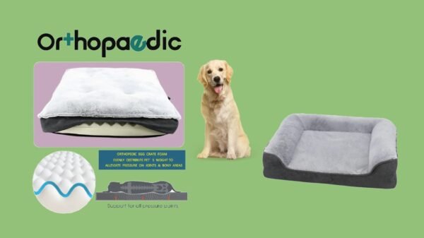 Orthopedic Dog Accessories