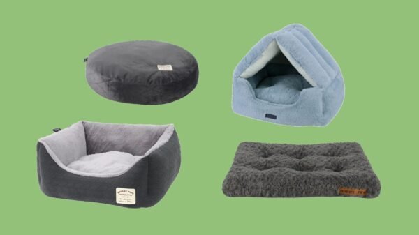 Pet Beds