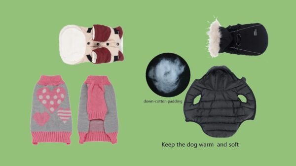Pet Clothes