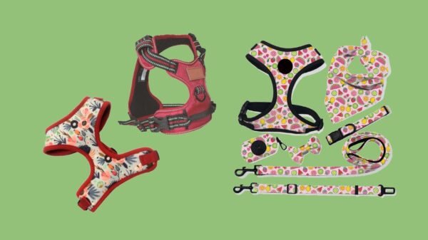 Pet Harness
