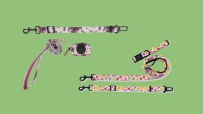 Pet Leashes