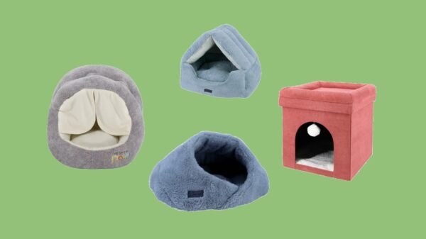 Pet Nest