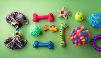 Home Pet Toys
