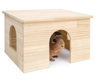 Guinea Pig Hideaway House