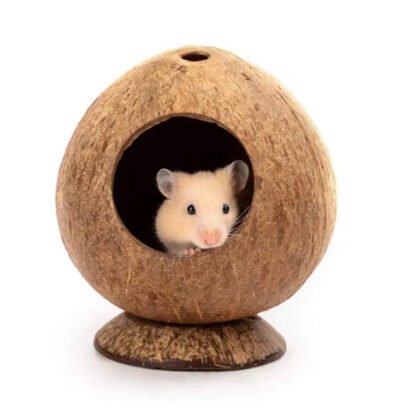 Hamster Coconut Hideaway Pod (Set of 2)