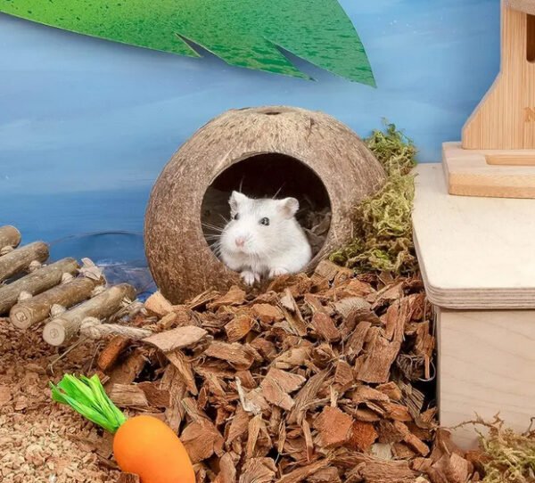 Hamster Coconut Hideaway Pod (Set of 2) - Image 2