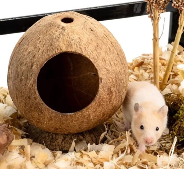 Hamster Coconut Hideaway Pod (Set of 2) - Image 3