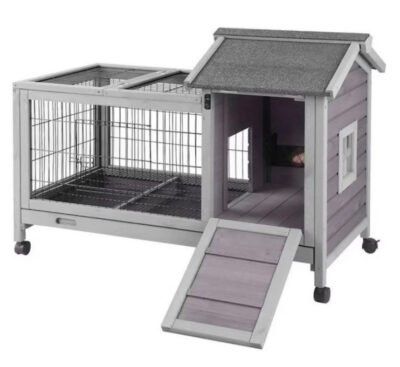 Rabbit & Guinea Pig Hutch / Home