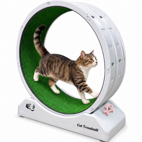 Cat Exercise Wheel / Cat Treadmill