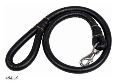 Strong Leather Dog Lead
