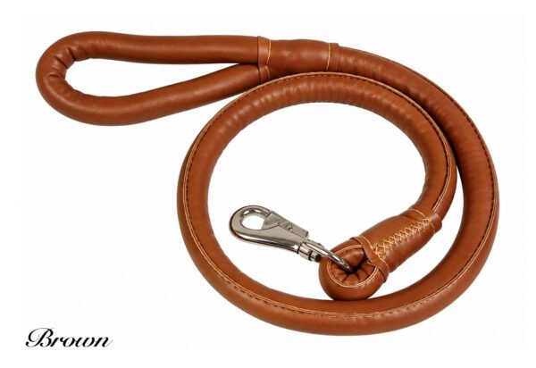Strong Leather Dog Lead