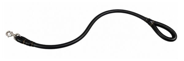 Strong Leather Dog Lead