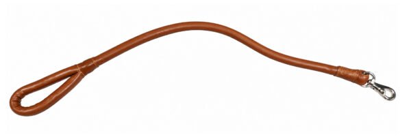 Strong Leather Dog Lead
