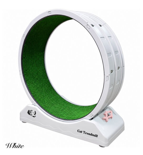 Cat Exercise Wheel / Cat Treadmill