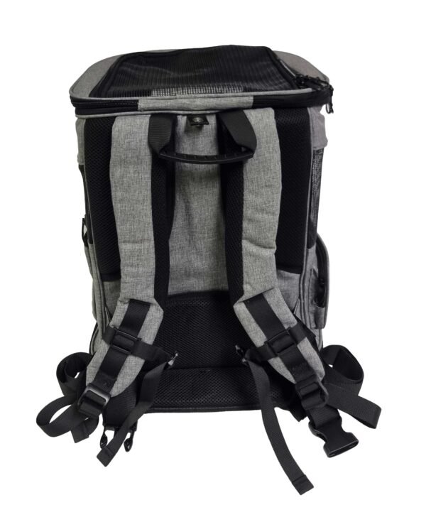 Cat & Small Dog Tall Carrier Backpack