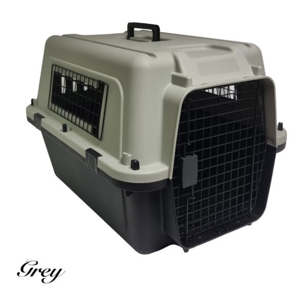 High Quality Strong Cat & Small Dog Plastic Carrier
