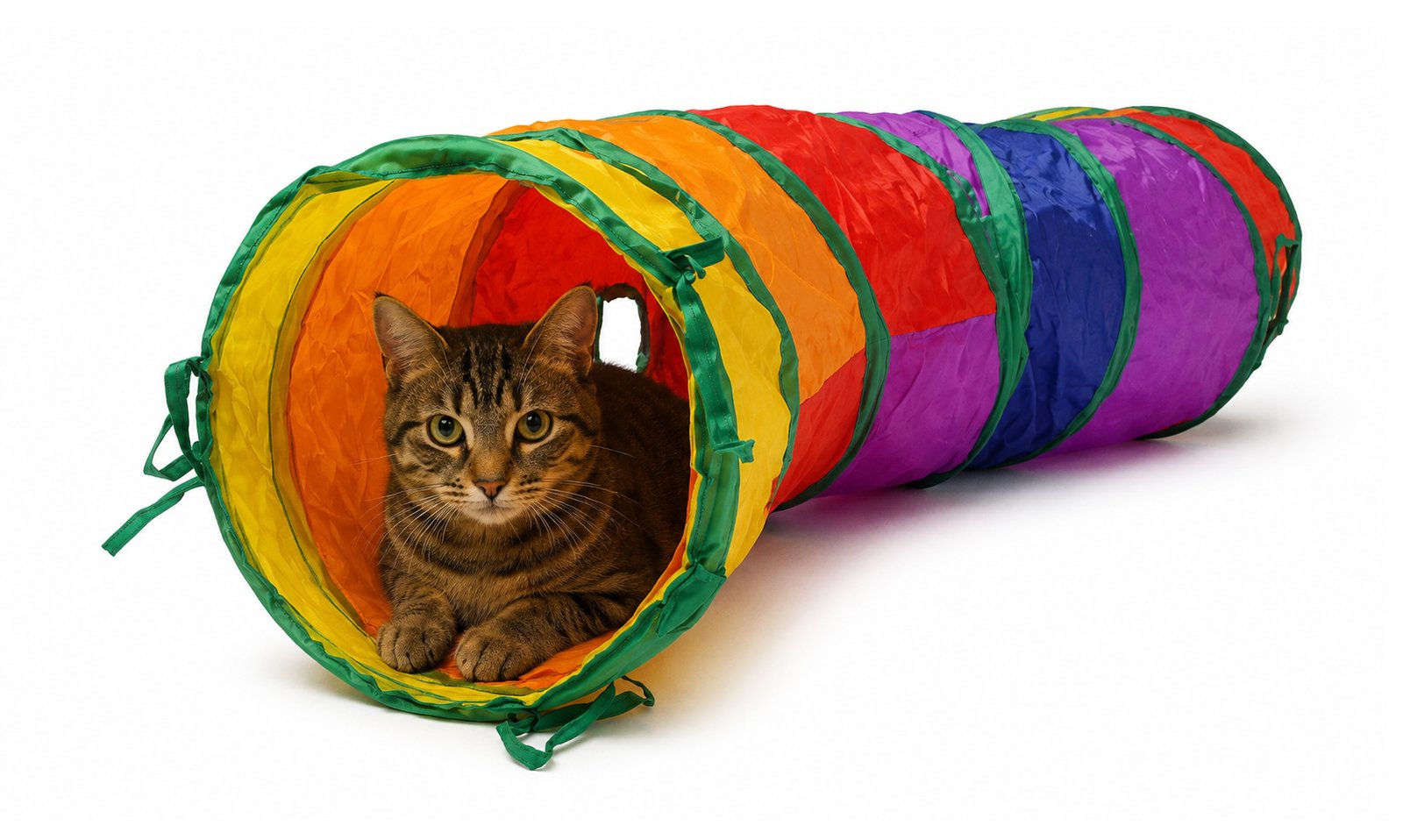 Colourful Pop-Up Cat Tunnel