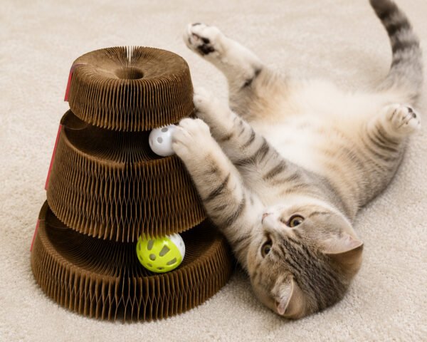 Interactive Cardboard Cat Scratcher & Toy