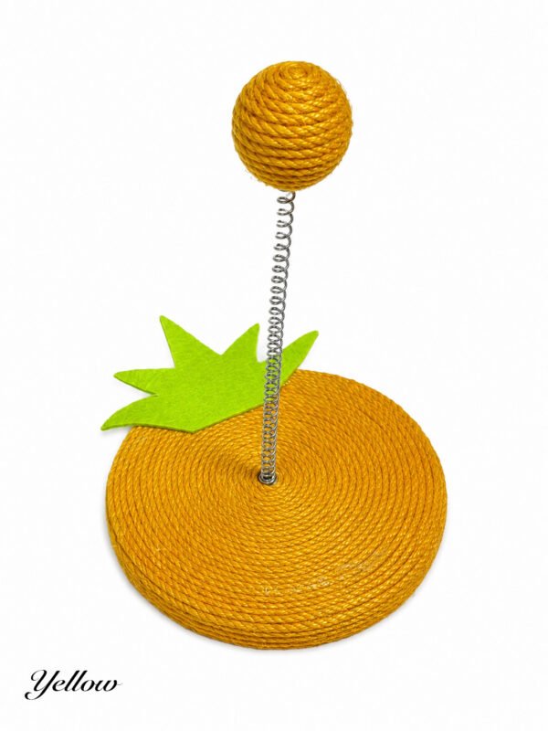 Interactive Spring Cat Toy