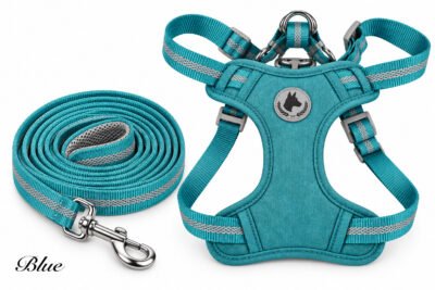 Interactive Suction Cup Dog Toy (Copy)