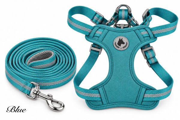 Interactive Suction Cup Dog Toy (Copy)