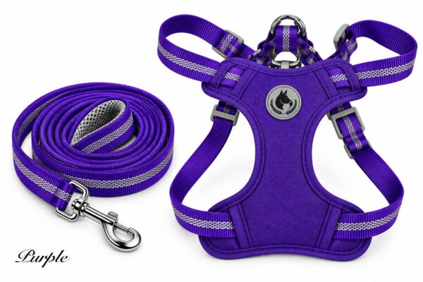 Interactive Suction Cup Dog Toy (Copy)