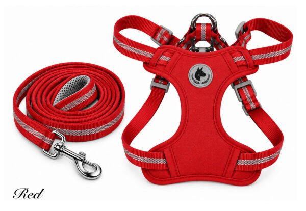 Interactive Suction Cup Dog Toy (Copy)