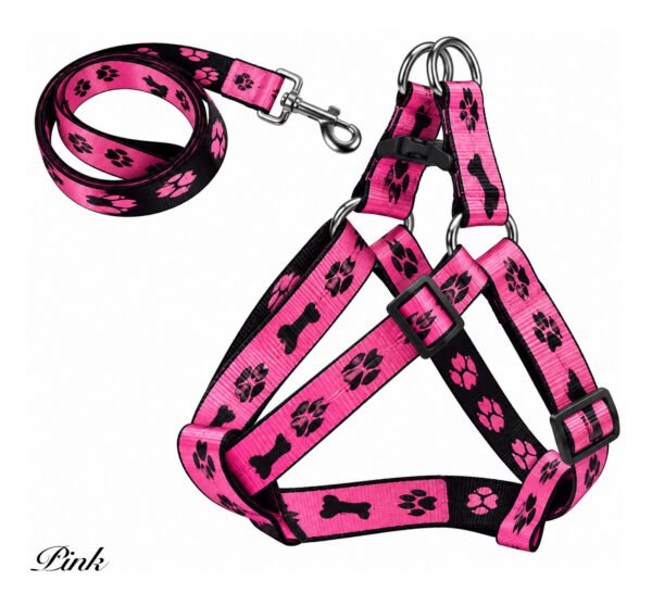 Padded Dog Harness and Matching Lead Set (Copy)