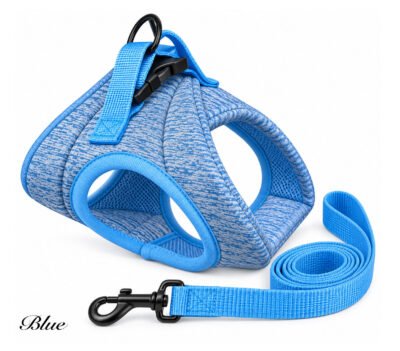 Padded Dog Harness and Matching Lead Set